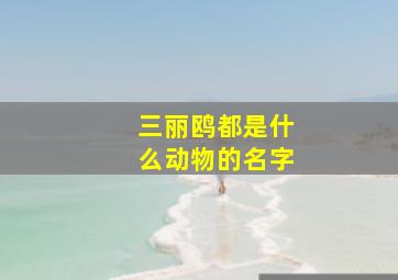 三丽鸥都是什么动物的名字