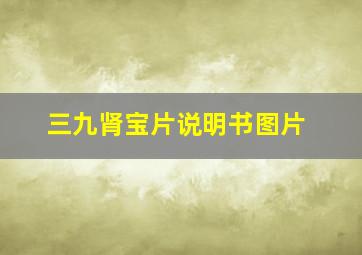 三九肾宝片说明书图片