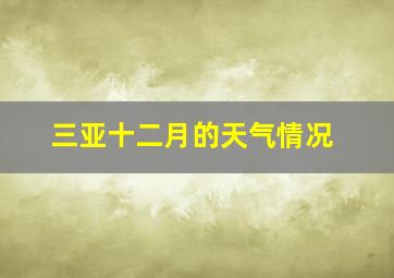 三亚十二月的天气情况