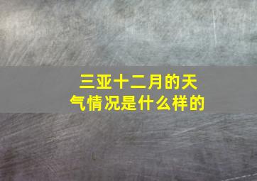 三亚十二月的天气情况是什么样的