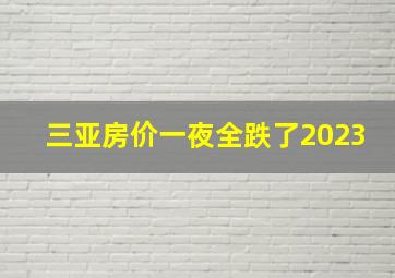 三亚房价一夜全跌了2023