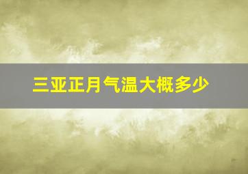 三亚正月气温大概多少