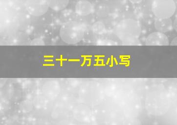 三十一万五小写