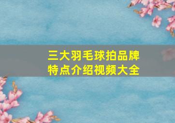 三大羽毛球拍品牌特点介绍视频大全