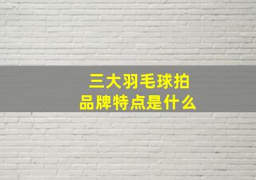 三大羽毛球拍品牌特点是什么