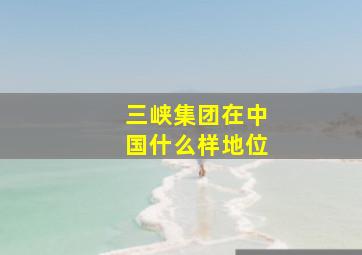 三峡集团在中国什么样地位