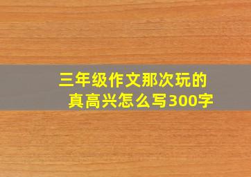 三年级作文那次玩的真高兴怎么写300字