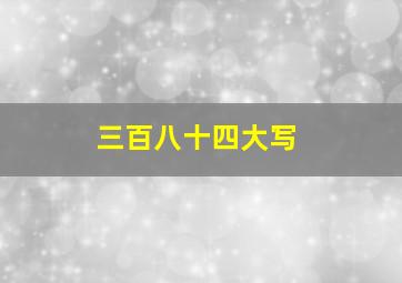 三百八十四大写