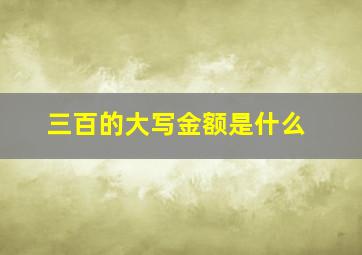 三百的大写金额是什么