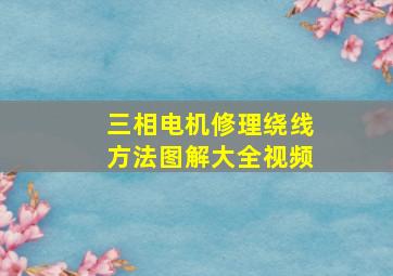 三相电机修理绕线方法图解大全视频