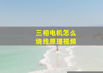 三相电机怎么绕线原理视频