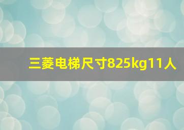 三菱电梯尺寸825kg11人