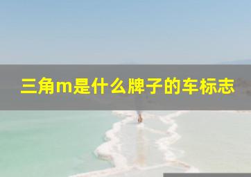 三角m是什么牌子的车标志