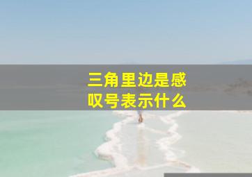 三角里边是感叹号表示什么