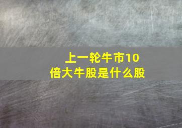 上一轮牛市10倍大牛股是什么股