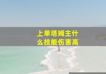 上单塔姆主什么技能伤害高