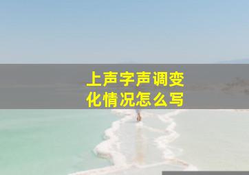 上声字声调变化情况怎么写