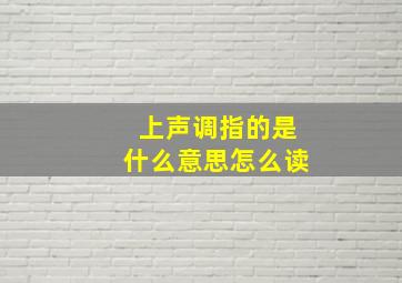 上声调指的是什么意思怎么读