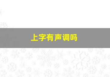 上字有声调吗