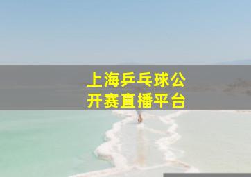 上海乒乓球公开赛直播平台