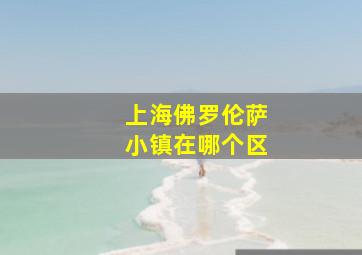 上海佛罗伦萨小镇在哪个区