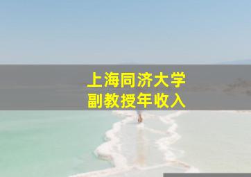 上海同济大学副教授年收入