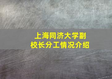 上海同济大学副校长分工情况介绍