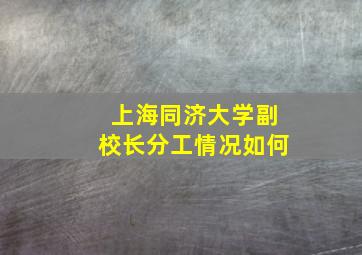 上海同济大学副校长分工情况如何