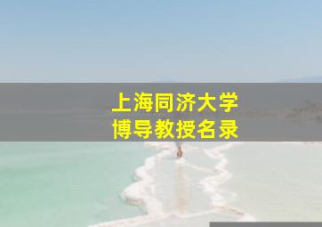 上海同济大学博导教授名录