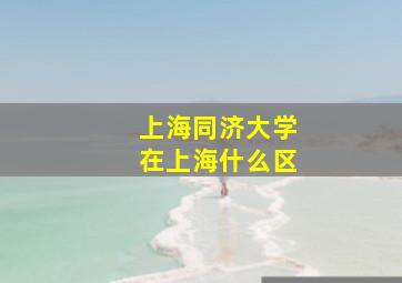 上海同济大学在上海什么区