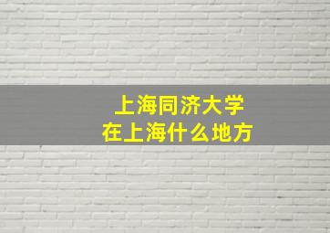 上海同济大学在上海什么地方