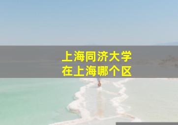 上海同济大学在上海哪个区