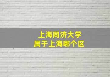 上海同济大学属于上海哪个区