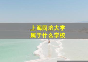 上海同济大学属于什么学校