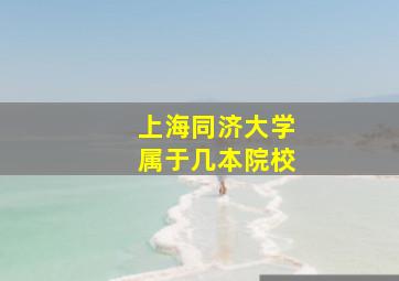 上海同济大学属于几本院校