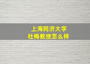 上海同济大学杜梅教授怎么样