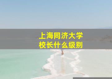 上海同济大学校长什么级别