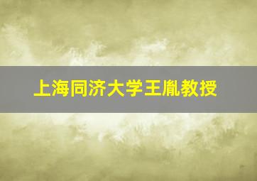 上海同济大学王胤教授