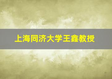 上海同济大学王鑫教授