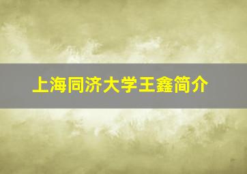 上海同济大学王鑫简介