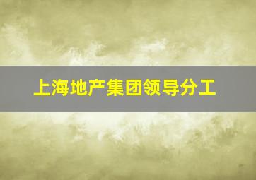 上海地产集团领导分工