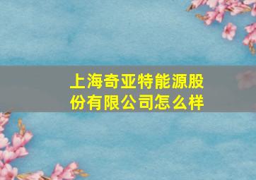 上海奇亚特能源股份有限公司怎么样