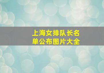 上海女排队长名单公布图片大全