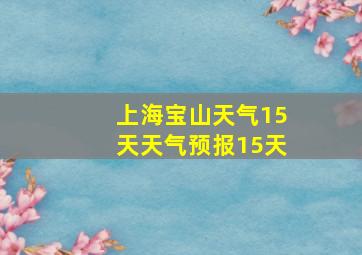 上海宝山天气15天天气预报15天