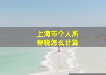 上海市个人所得税怎么计算