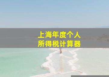 上海年度个人所得税计算器