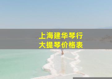 上海建华琴行大提琴价格表