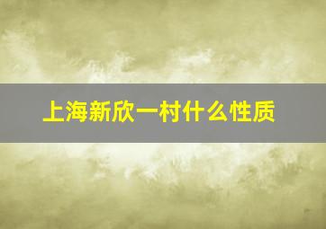 上海新欣一村什么性质