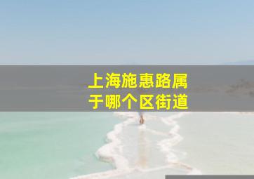 上海施惠路属于哪个区街道