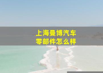 上海曼博汽车零部件怎么样